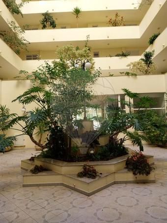 Apartamento T2 - Photo 4