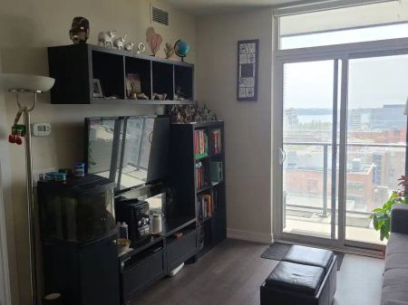 Toronto Furnished Condo for Rent - Luxurious 1 Bed, 1 Bath with South Facing Balcony, Water Views, and Air Conditioning - Photo 3