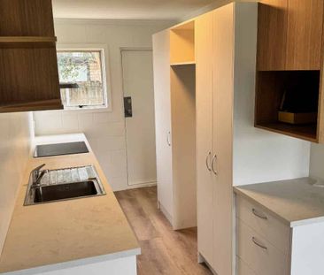 Fully Renovated Apartment - Photo 1