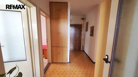 Pronájem bytu 3+1 v osobním vlastnictví 59 m², Brno - Photo 3