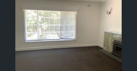 Freshly Renovated 3-Bedroom Home in Prime Location - Photo 5