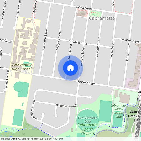 46a Kauri Street, NSW 2166, Cabramatta