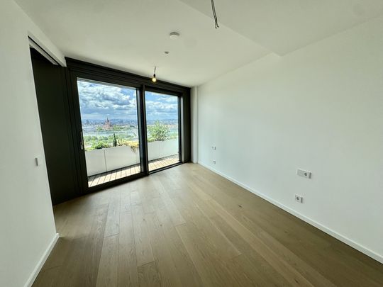 Den schönsten Ausblick auf Stephansdom, Prater & Neue Donau: Doorman, Gym, Pool, Wellness - LUXUS WOHNEN - Photo 1