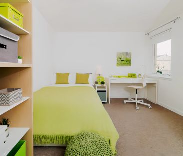 Premium Plus – 3 & 4 Bed Flat - Photo 2