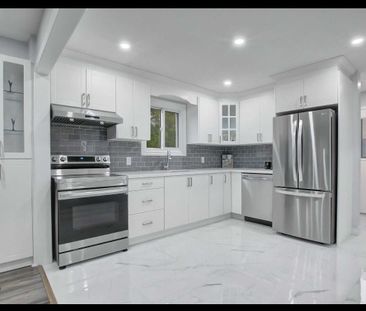 For Lease - 4 Stanbridge Court Unit# Main, Toronto, Ontario - Photo 5