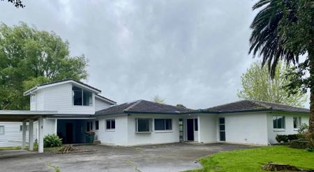 Roomy home for rent in Dairy Flat - Photo 4