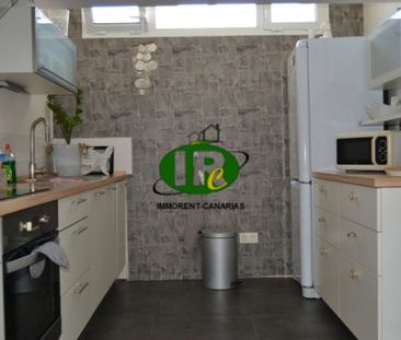 Bungalow, newly renovated, with 1 bedroom and very large terrace - Photo 6