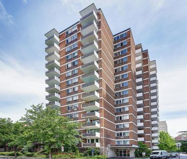 1 chambre - 3505 Sainte-Famille, Montréal - Photo 1