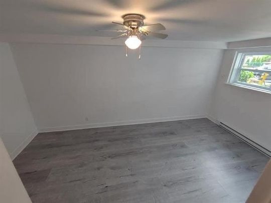 3225 Av. Hector - Photo 1