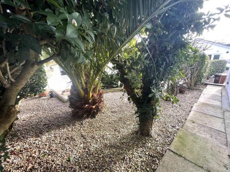 3 bedroom house to rent - Photo 4