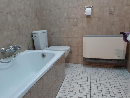 Schönes Appartement EG im Zentrum von Kelmis mit Blick ins Grüne - Photo 5