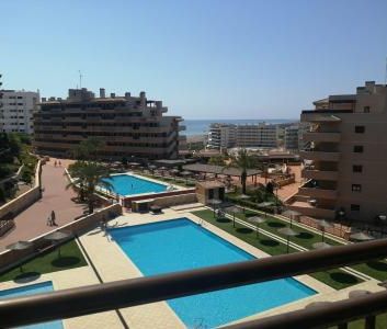 Apartment - Arenales del sol - Photo 4
