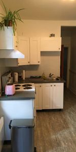 Très grand 4 1/2 Plateau Mont-Royal - Photo 4