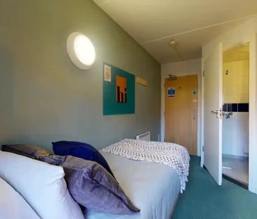 Classic Studio Plus - Photo 6