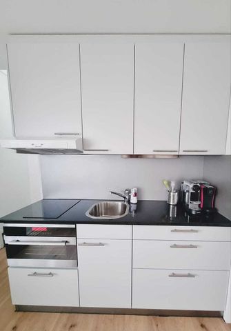 APPARTEMENT 2 PIÈCES À FRAUBRUNNEN (BE), MEUBLÉ, TEMPORAIRE - Photo 3