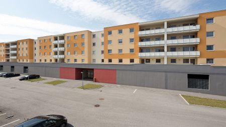 WIENER NEUSTADT VIII/3 - Foto 4