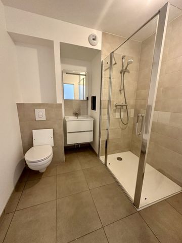 Appartement 1 pièce à Strasbourg - Photo 4