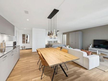 Furnished apartments with Madrid charm in the largest shopping center in Switzerland - Photo 4