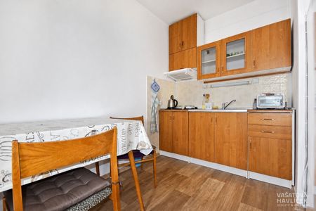 Pronájem bytu 1+kk, garsoniery 35 m², Hradec Králové - Fotografie 3
