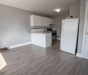 **COZY** BACHELOR APARTMENTS IN THOROLD!! - Photo 4