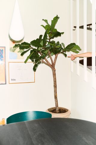 Norrskogsvägen, Stockholm - Foto 4