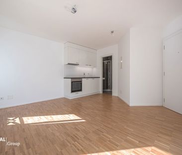 1.5 Zimmer, 25 m², 2. Stock - Photo 3