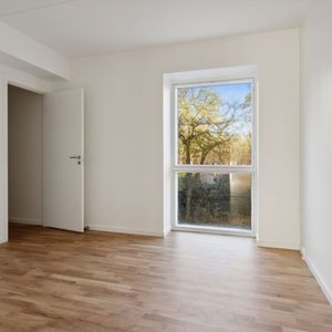 Hollænderen 10, 2. TV - Foto 3