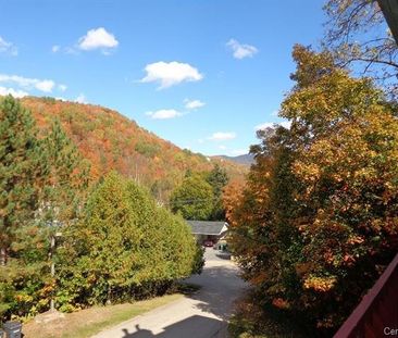 Rue du Mont-Plaisant, J8E 1L2, Mont-Tremblant - Photo 6