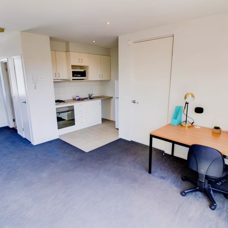 Large Studio - Photo 1