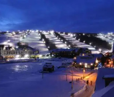 For Lease - 107 Ann Heggtveit Drive Unit# 112, Blue Mountains, Ontario - Photo 5