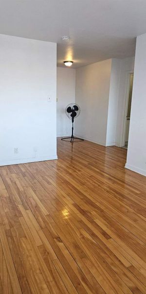 1 CH - 1 SDB - Montréal - $1,495 /mo - Photo 1