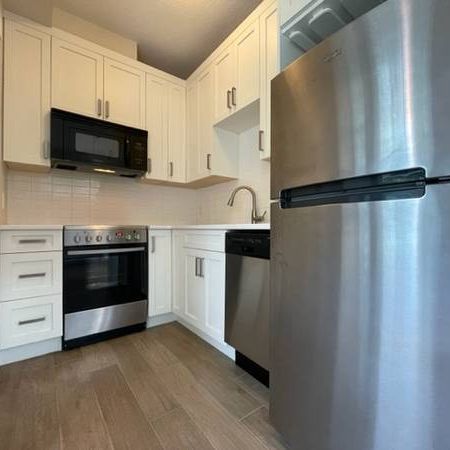 Tiny Condo Under 300SQFT / Murphy Bed Included / Single Occupant Only - Photo 1