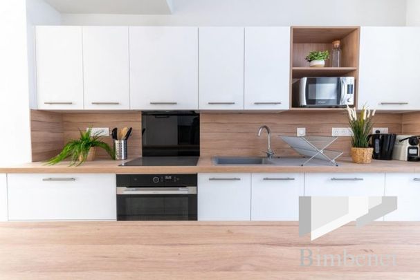 Appartement à louer, 1 pièce - Orléans 45000 - Photo 1