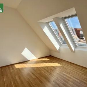 Helle 1-Zimmer-Wohnung in Stadlau - zentral & bestens angebunden - Photo 1