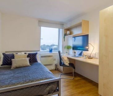 Bronze 6-7 Bed Room - Photo 4