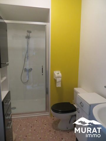 Location Appartement 1 pièce 24m² CHAMALIERES 63400 - Photo 5