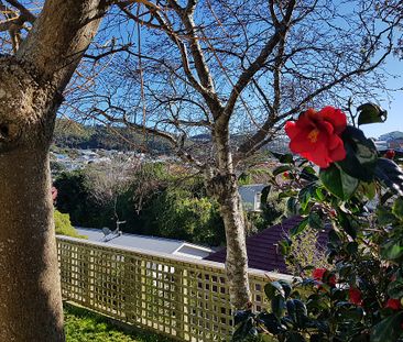 98 Melbourne Road, Island Bay Wellington 6023 - Photo 1