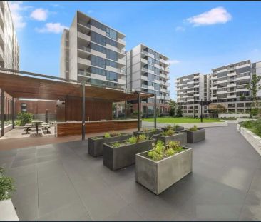“Near New One Bedroom Apartment in the Heart of Bankstown” - Photo 4
