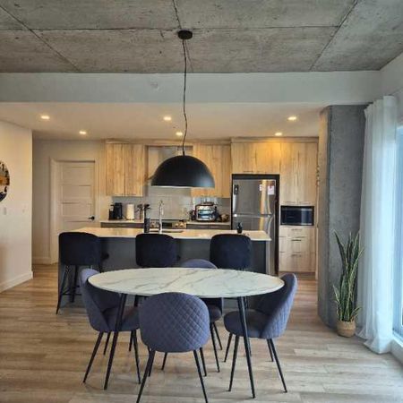 Grand 5 1/2 St-Nicolas Lévis - Cession décembre - Photo 4