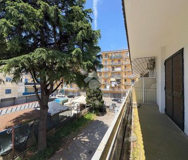 5 locali in affitto - Foto 6