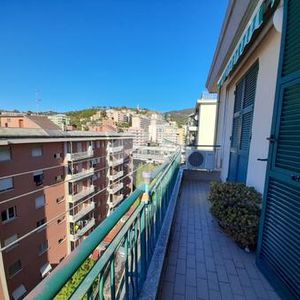 5 locali in affitto - Photo 2