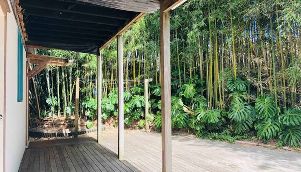 Modern 2-Bedroom Split-Level Retreat in MAGS &... - Photo 1