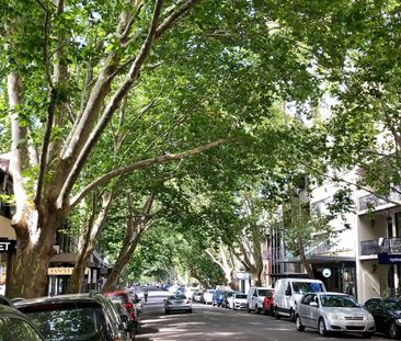 4/193 Victoria Street, Potts Point NSW 2011 - Studio For Rent | Domain - Photo 4