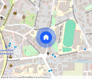 A cozy life in the heart of Frauenfeld - Photo 1