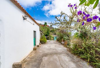 **¡Se Alquila Casa en Agulo, Las Rosas!** – 0067-04335