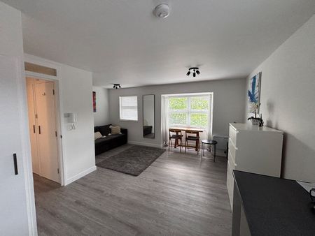 Studio Flat, Mayfield Road, W12 - Photo 5