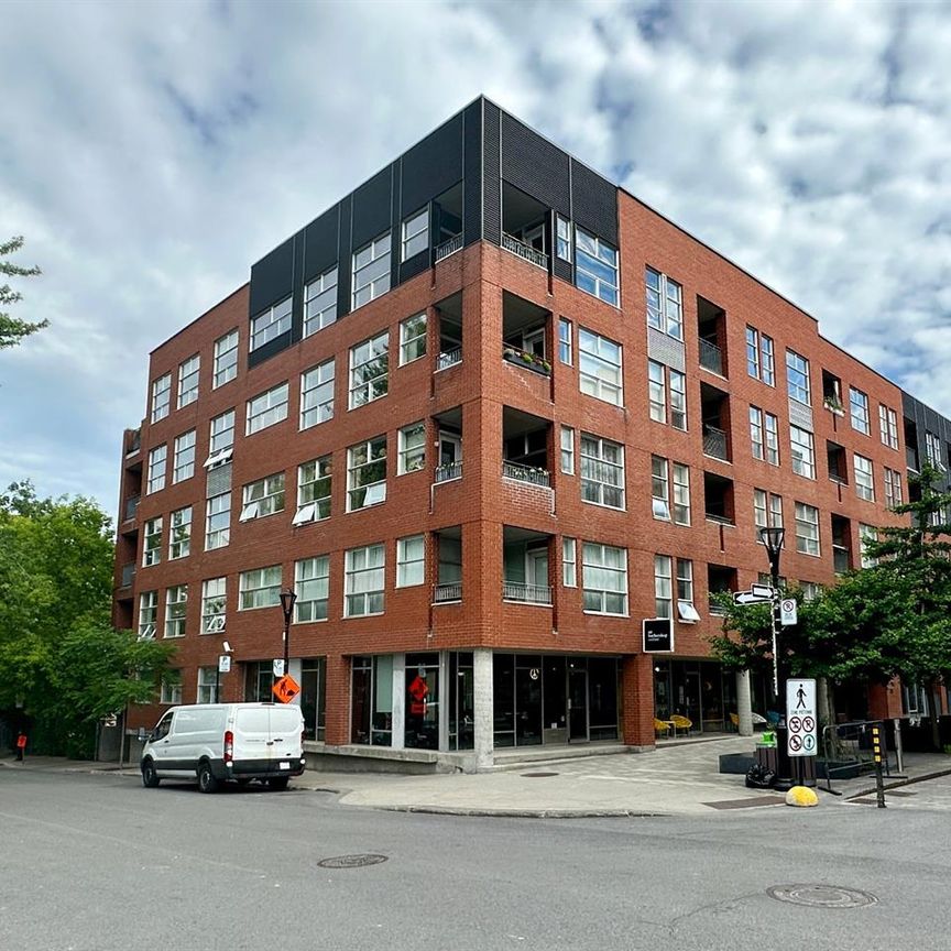 Appartement Montréal (Ville-Marie) À Louer - Photo 1