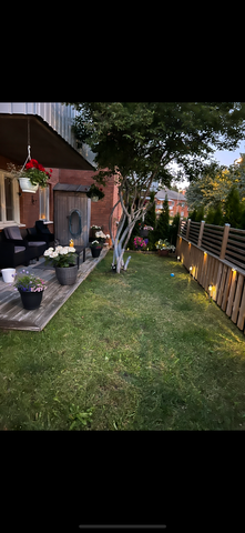 Gotlandsresan, Uppsala - Foto 3