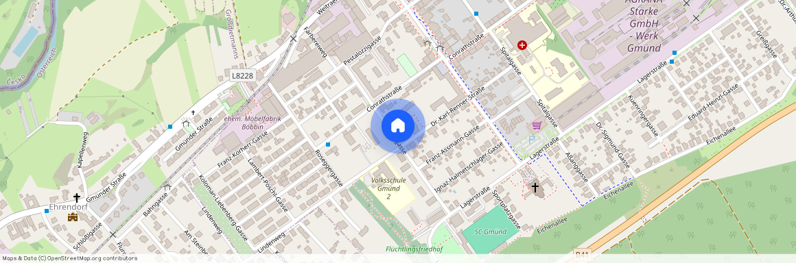 Stiftergasse 9, 3950, Gmünd