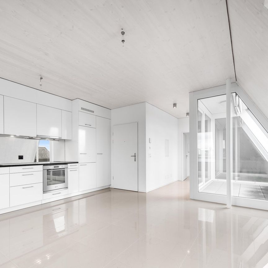 Top moderne 2.5-Zimmer-Wohnung mit viel Sonnenschein - Photo 1